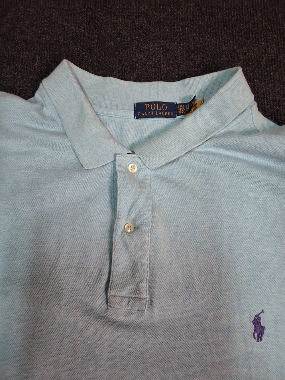 Polo by Ralph Lauren Mint Blue Polo with Purple Pony